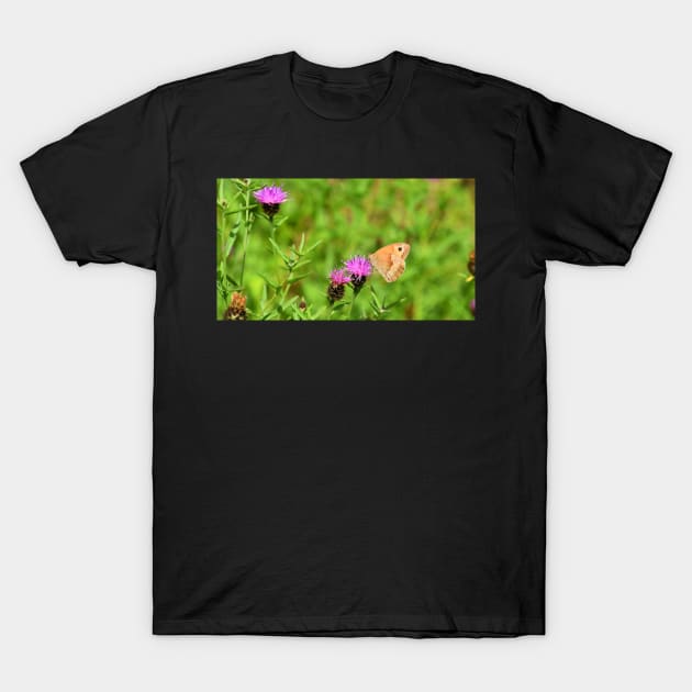 Ringlet Butterfly T-Shirt by Graz-Photos